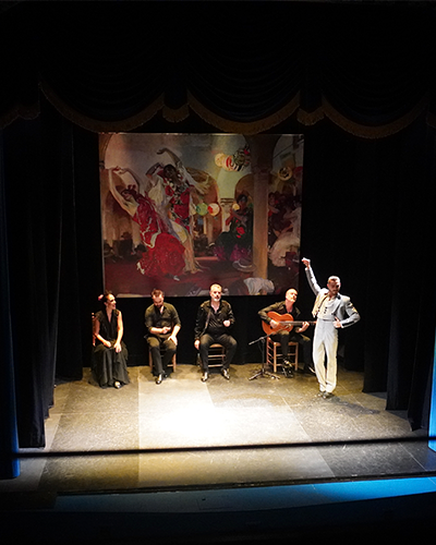 Spectacle de flamenco de Séville [Carlos V Education]